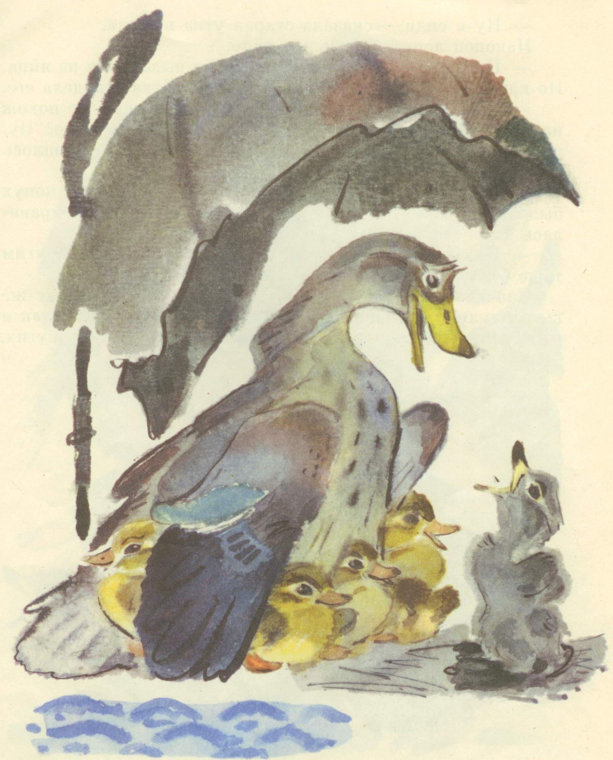 Иллюстрации Вениамина Белышева к сказке «Гадкий утенок»