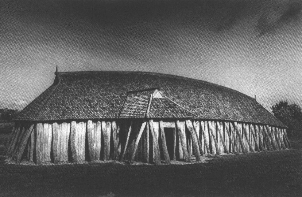 Илл. 1. Реконструкция викингского «длинного дома» в Ютландии