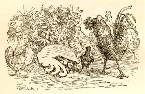 Иллюстрации Лоренца Фрюлиха к сказке «Дворовый петух и флюгерный»