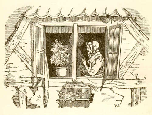 Иллюстрации Вильхельма Педерсена к сказке «Бутылочное горлышко»