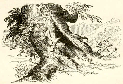 Иллюстрации Вильхельма Педерсена к сказке «Волшебный холм»