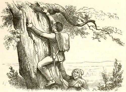 Иллюстрации Вильхельма Педерсена к сказке «Огниво»