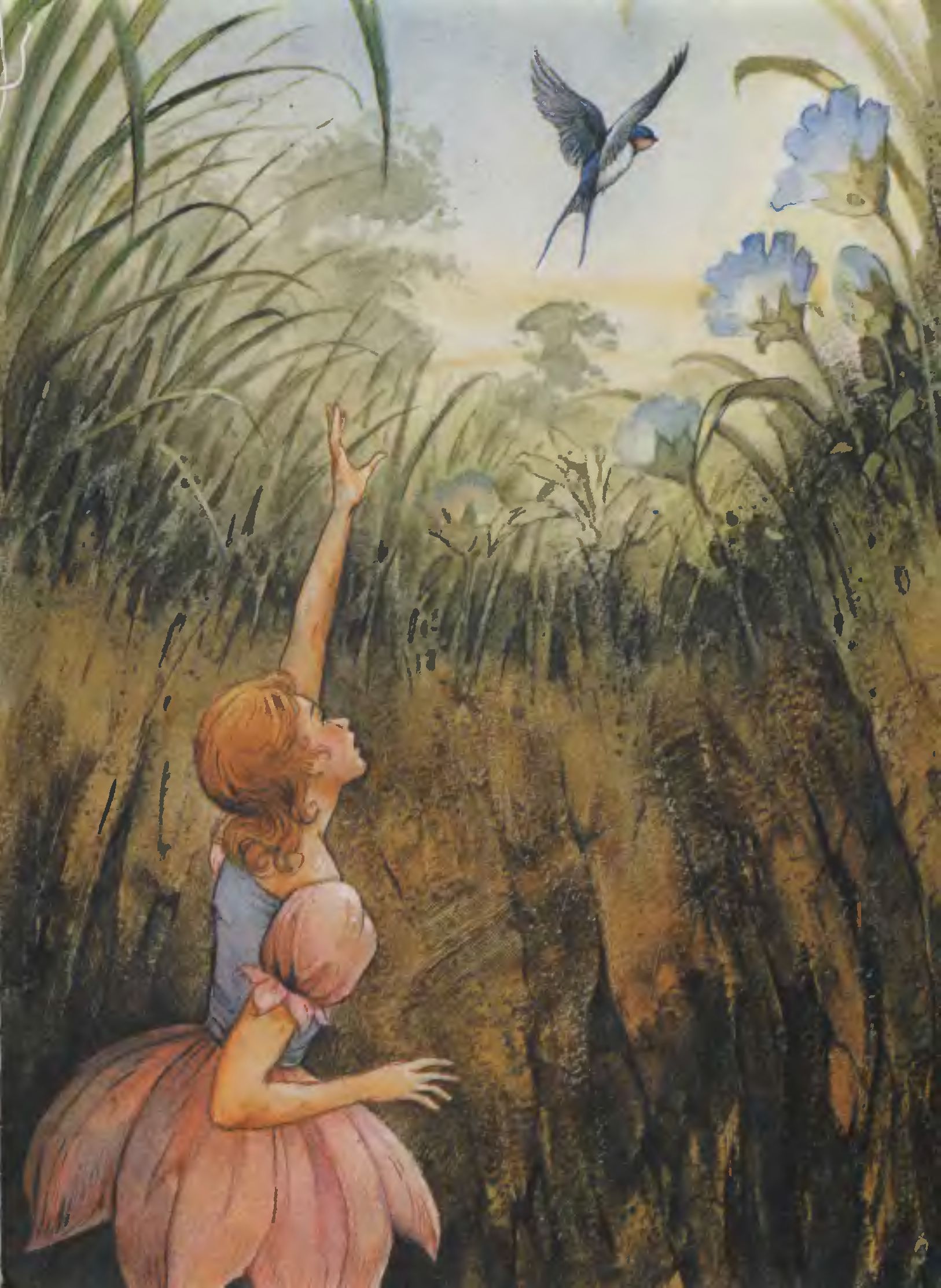 Иллюстрации Джона Пейшенса к сказке «Дюймовочка»