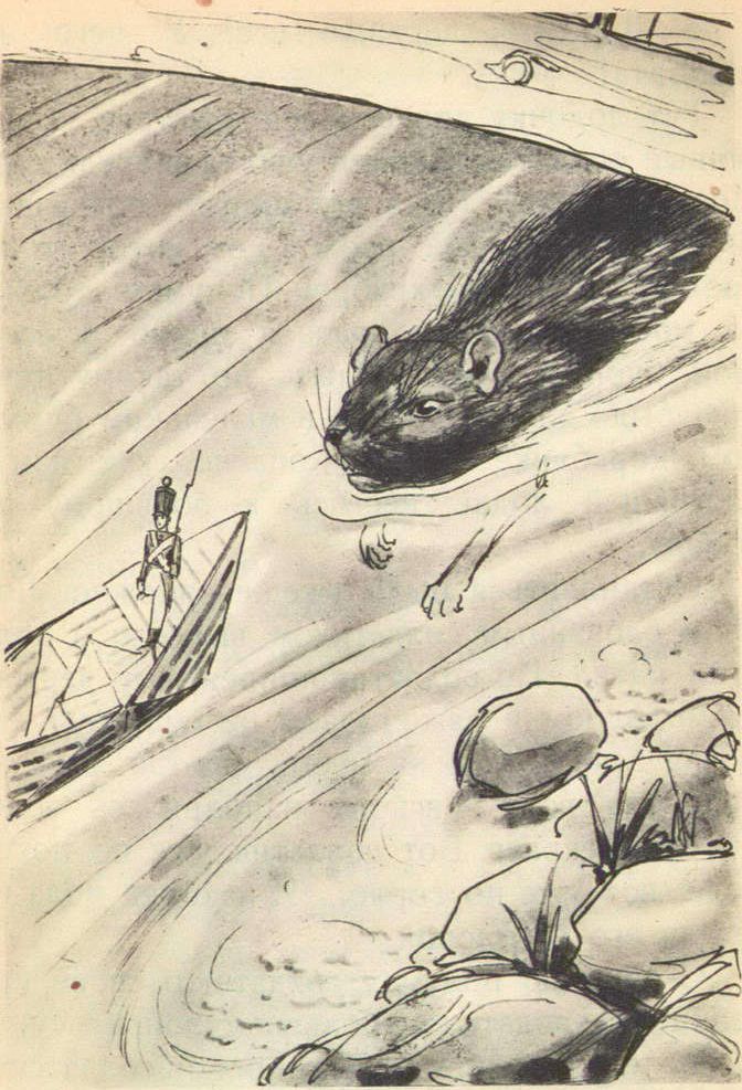 Иллюстрации Ивана Рерберга к сказке «Стойкий оловянный солдатик»