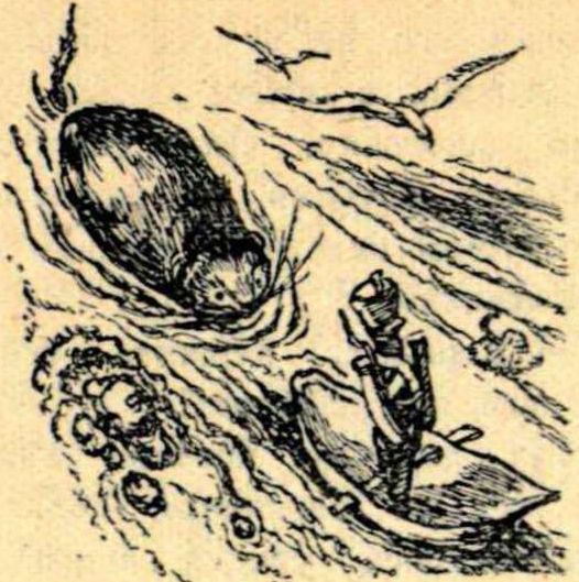 Иллюстрации Виктора Таубера к сказке «Стойкий оловянный солдатик»