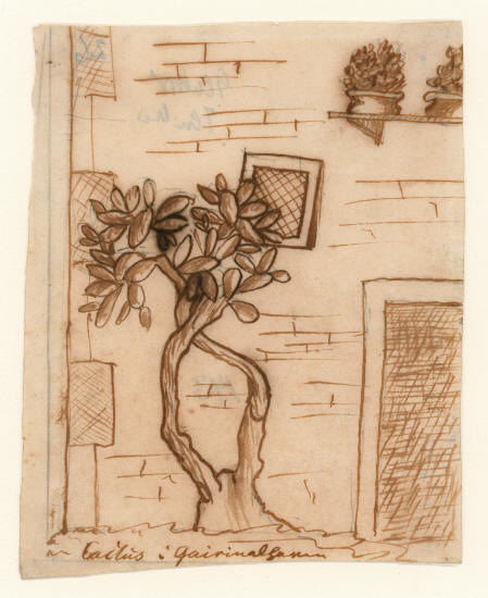 Х.К. Андерсен. Кактус в Квиринальском саду, 1834 год