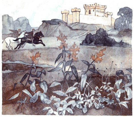Иллюстрации Анастасии Архиповой к сказке «Дурень Ганс»