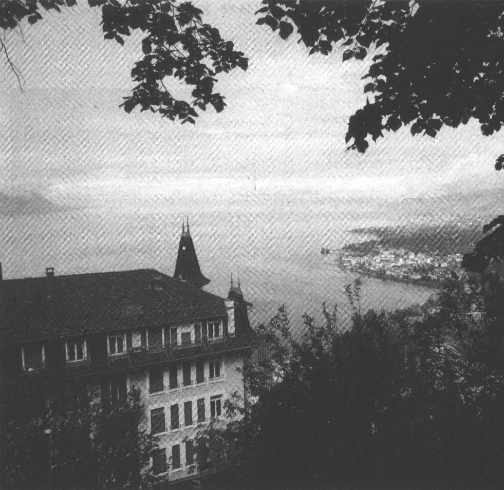 Илл. 25. Вид на Женевское озеро со склона в районе Ле Планш