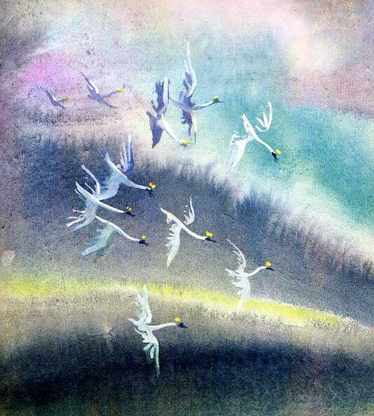 Иллюстрации Г.А.В. Траугот к сказке «Дикие лебеди»