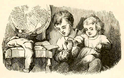 Иллюстрации Вильхельма Педерсена к сказке «Маленький Тук»