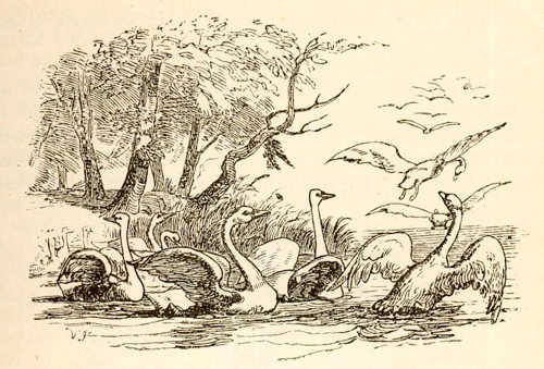 Иллюстрации Вильхельма Педерсена к сказке «Лебединое гнездо»