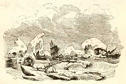Иллюстрации Вильхельма Педерсена к сказке «На краю моря»