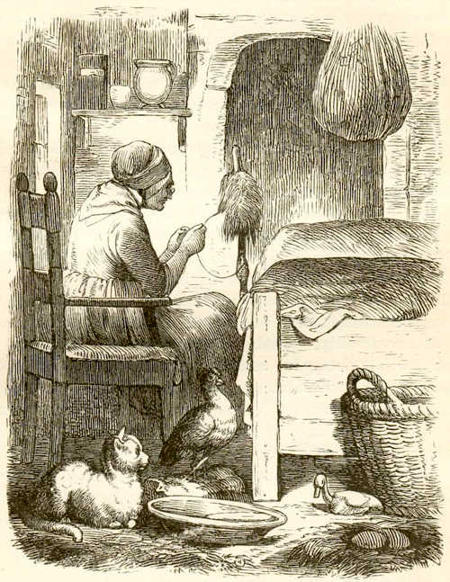 Иллюстрации Вильхельма Педерсена к сказке «Гадкий утенок»