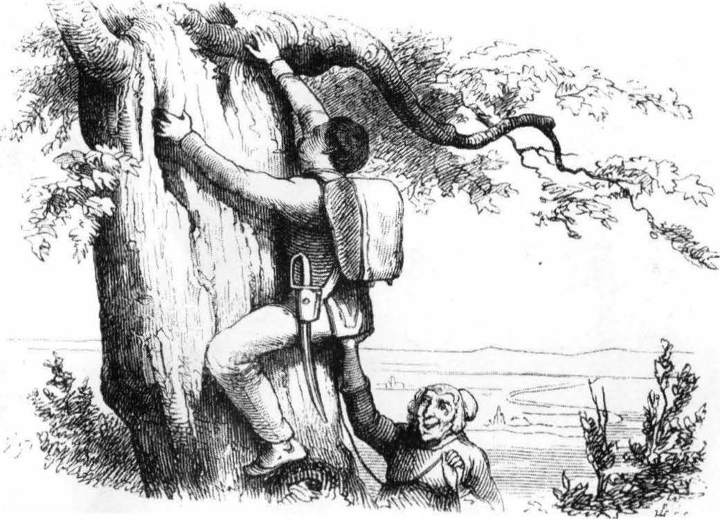 Иллюстрация В. Педерсена к изданию Андерсена 1913 г.