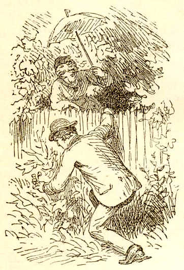 Иллюстрации Лоренца Фрюлиха к сказке «Судьба репейника»