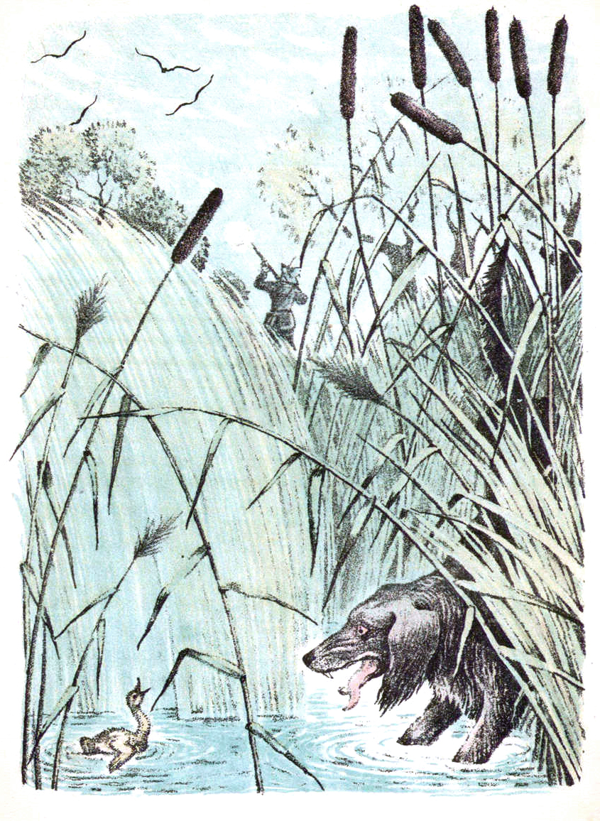 Иллюстрации Елены Сафоновой к сказке «Гадкий утенкок»